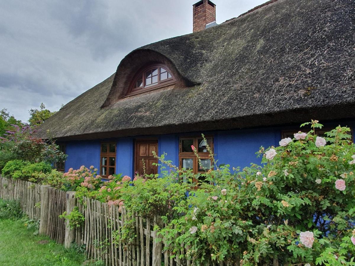 Ferienwohnung Ole Zinnowitz Buitenkant foto